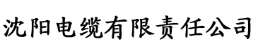 理论片电缆厂logo